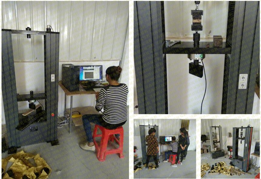 �����K������������f��ԇ�C�͑��F(xi��n)���D